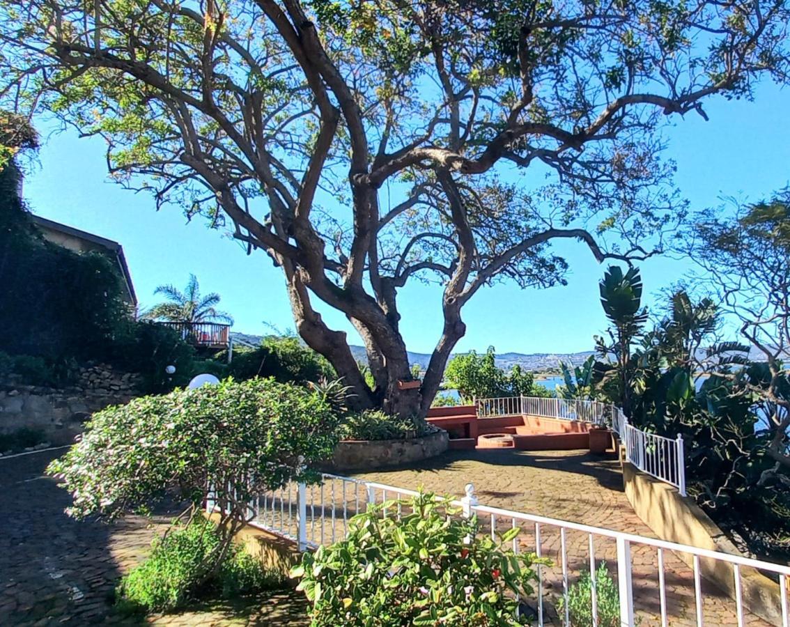 Phoenix Lodge And Waterside Accommodation 克尼斯纳 外观 照片